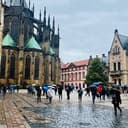 Priya Patel profile photo